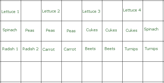 A grid layout of a garden plot using "square foot" techniques.